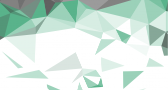 VoxDev colours in polygons