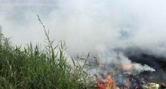Crop burning