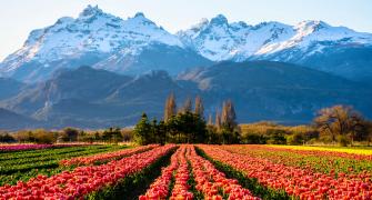 Glacier in Argentina