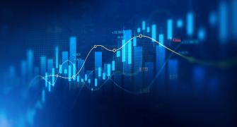 Investment networks