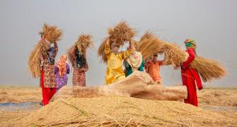 Pakistan women work