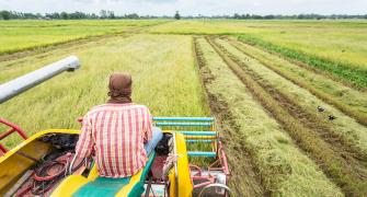 farm in Africa