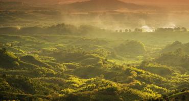 coffee colombia