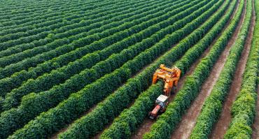 Brazil agricultural modernisation