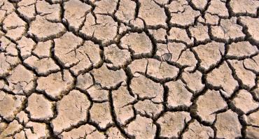 Drought in India
