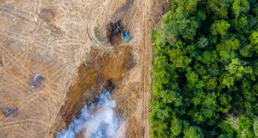 Deforestation