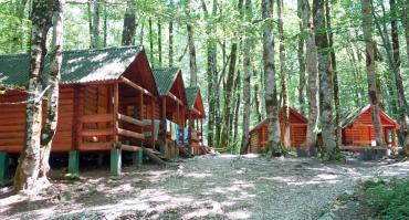 Camp cabins