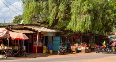 Kenya shops