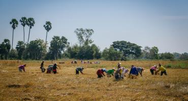 food security
