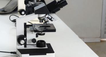 Microscope