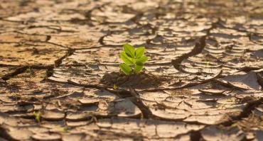 climate change in africa
