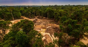 Amazon deforestation