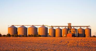 grain storage