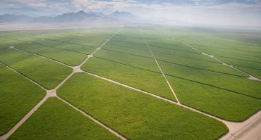 agriculture in Peru