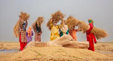 Pakistan women work