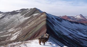 Peruvian winter