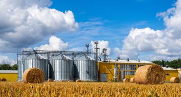 agrifood