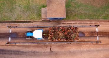 agriculture in Ghana