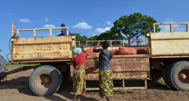smallholders in Zambia