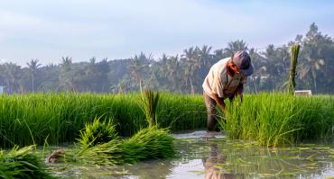 worker in Indonesia