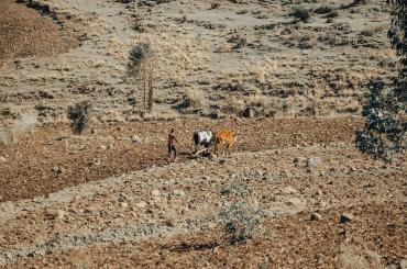 rural Ethiopia