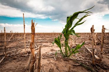 rising temperatures put agriculture under increasing pressure
