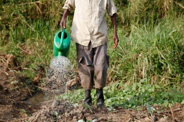 Microfinance in Uganda