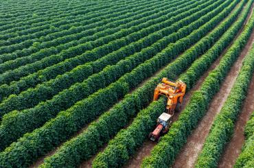 Brazil agricultural modernisation