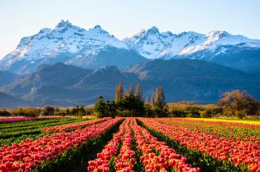Glacier in Argentina