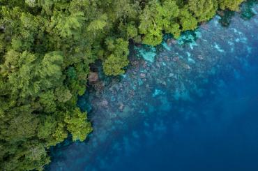Biodiversity