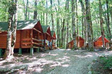 Camp cabins