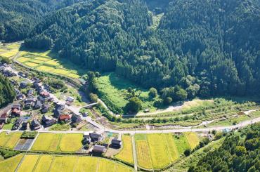 Land/neighbourhood