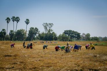 food security