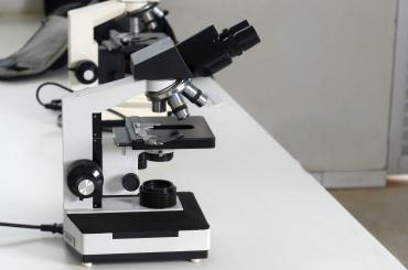 Microscope