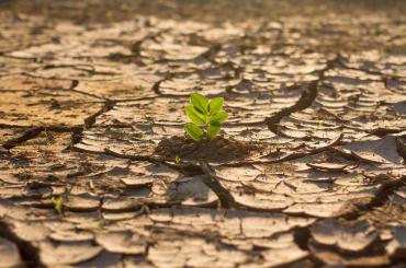 climate change in africa
