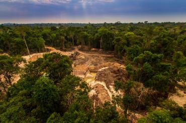 Amazon deforestation