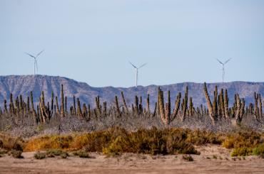 climate change in Mexico