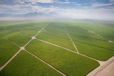agriculture in Peru