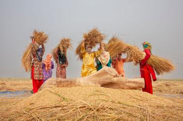 Pakistan women work