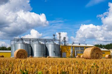 agrifood