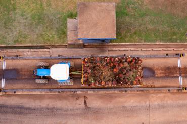 agriculture in Ghana