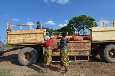 smallholders in Zambia