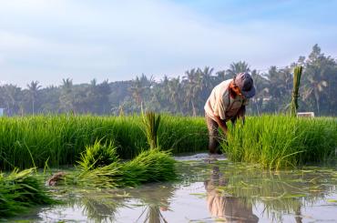 worker in Indonesia