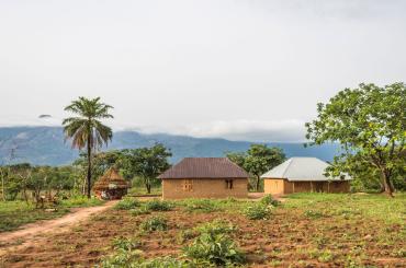 farm in Africa