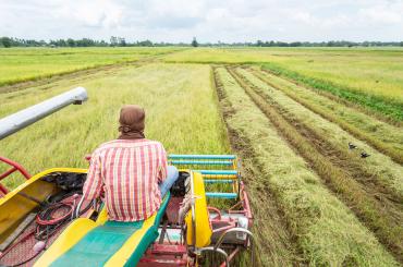 farm in Africa